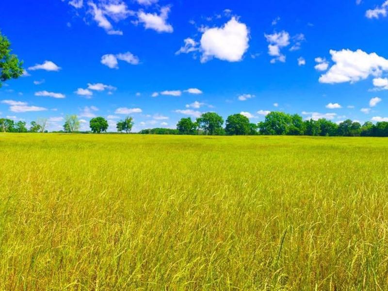 New Price Gorgeous Farm and Estate : Campbellton : Jackson County : Florida
