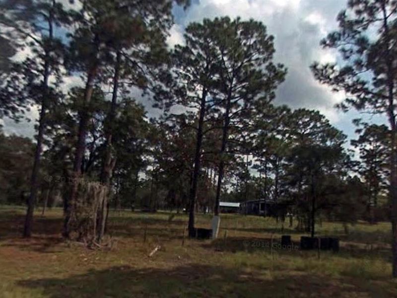 Levy County, Florida $32,000 Neg : Land for Sale in Morriston, Levy County, Florida : #124686 ...