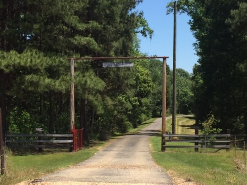 Silver Creek Ranch 518 Acres Marion Land for Sale in Foxworth, Marion
