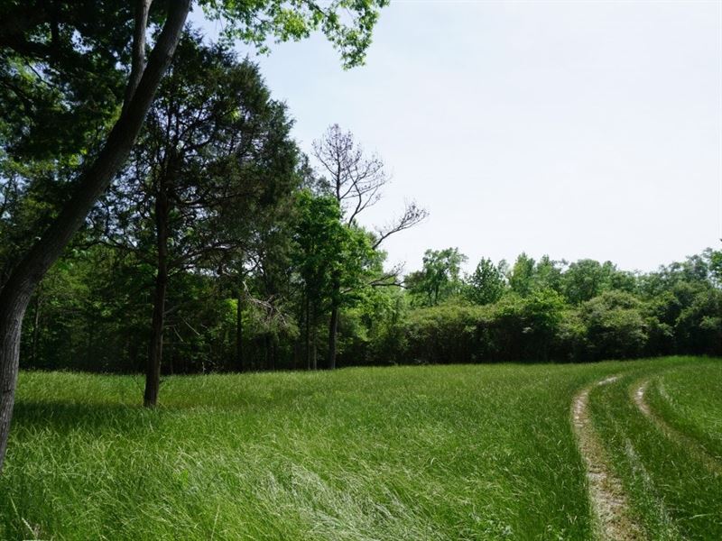 Brownlee Farms : Jackson : Butts County : Georgia