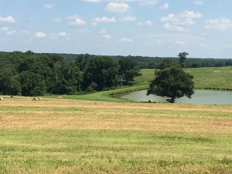 10 Acres Of Beautiful Pasture : Troy : Pike County : Alabama