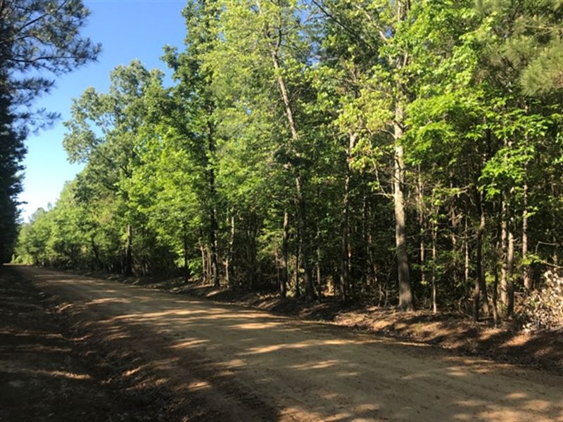 Land For Sale In Starkville, Ms Land for Sale in Starkville