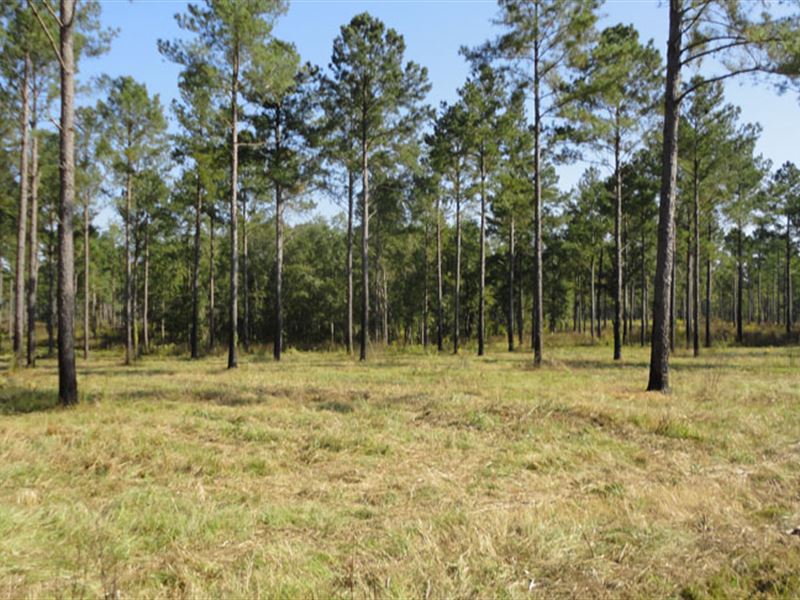 Pulaski County Tract : Hawkinsville : Pulaski County : Georgia