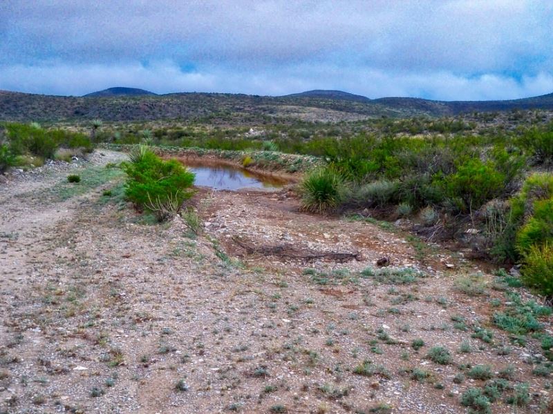 20 Acres In The High Desert Land for Sale in Terlingua, Brewster