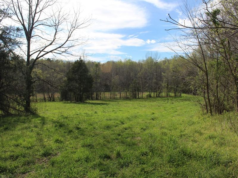 Gorgeous Rural Property Auction : Gibsonville : Guilford County : North Carolina