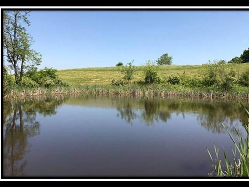 Beautiful 5 Acres With Pond Land for Sale in Perry, Gallia County