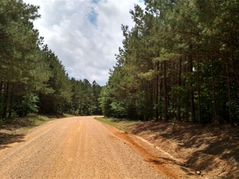 Land for Sale in Mathiston, Ms : Mathiston : Choctaw County : Mississippi