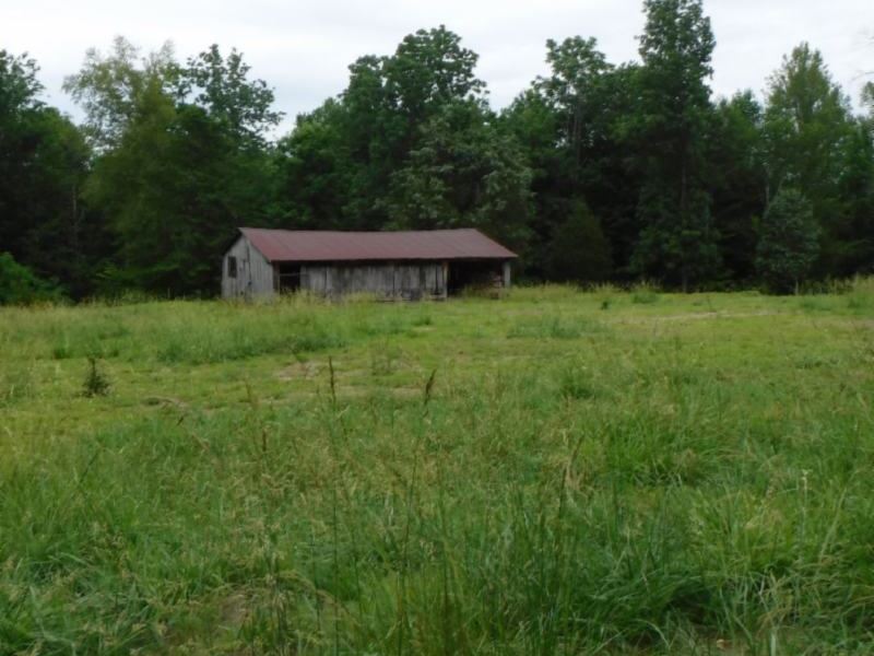 3 Ac. Cleared/Wooded in Overton Co : Alpine : Overton County : Tennessee