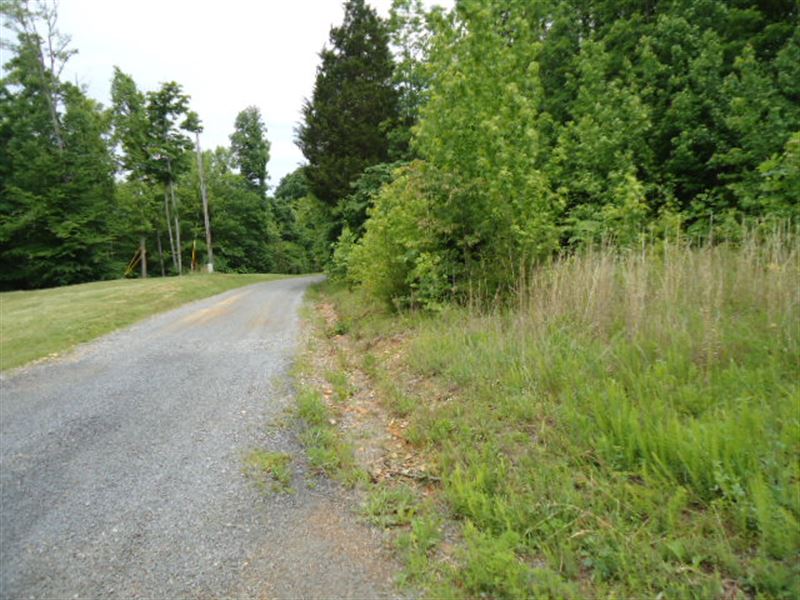 7.70 Acres Wooded in Clay Co. : Celina : Clay County : Tennessee