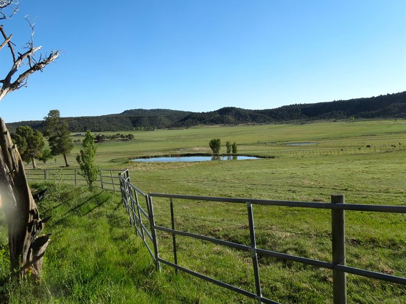 Fahrion Ranch : Ignacio : La Plata County : Colorado