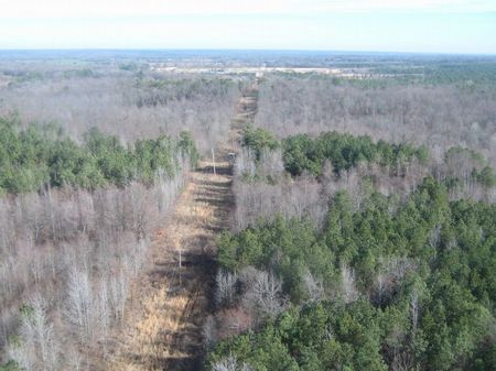 Malmaison Wildlife Management Area : Holcomb : Grenada County : Mississippi