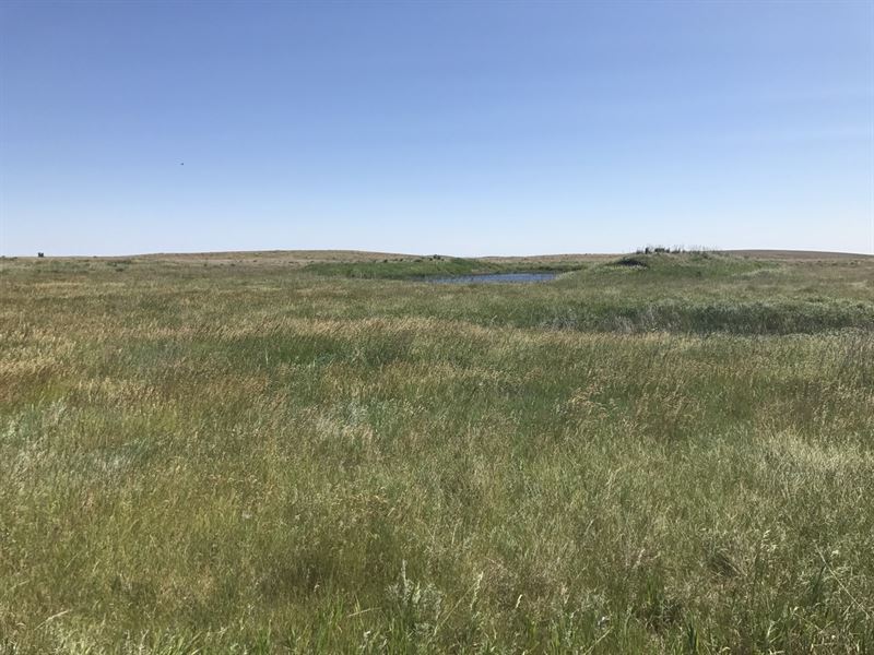 North Central South Dakota Grass La : Eureka : Campbell County : South Dakota