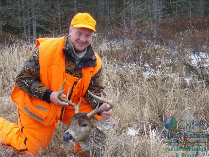 Well Managed Northwoods Hunting : Armstrong Creek : Forest County : Wisconsin