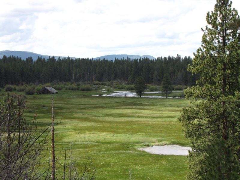 Mountan Retreat and Horse Facility : Bly : Klamath County : Oregon