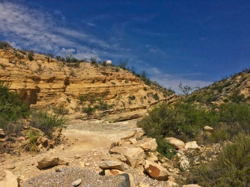40 Acres On Black Rock Draw : Terlingua : Brewster County : Texas