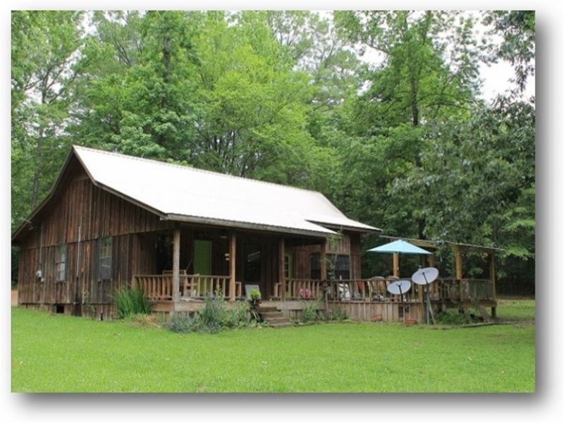 2 Acres W/ Cabin in Carroll County : Mc Carley : Carroll County : Mississippi