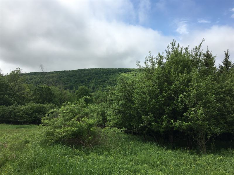 Southern Tier Home Or Camp Site : Cuyler : Oswego County : New York