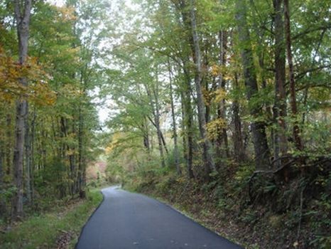 1369 Acres and Mineral Rights : Lancing : Morgan County : Tennessee