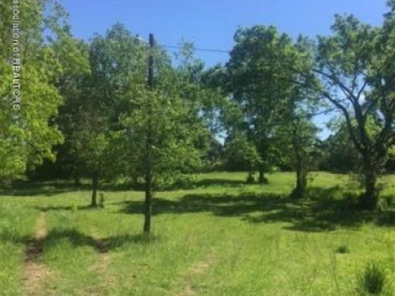 27.3 Acres in Lafayette County : Taylor : Lafayette County : Mississippi