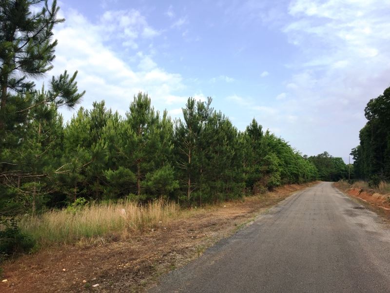 Milam Road Tract : Medina : McNairy County : Tennessee