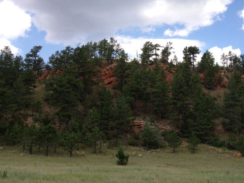 Off The Grid : Custer : Custer County : South Dakota