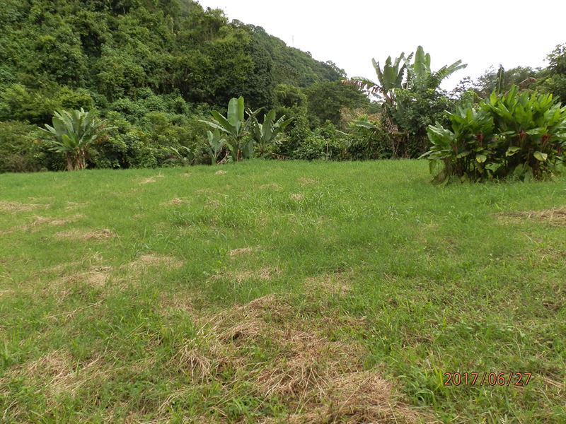 1/2 Ac Lot Across From Rio & Reser : Orosi De Cartago : Costa Rica