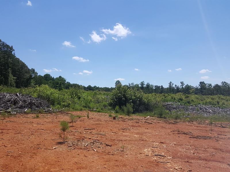Fitzgerald Rd Land for Sale in Pelham, Caswell County, North Carolina