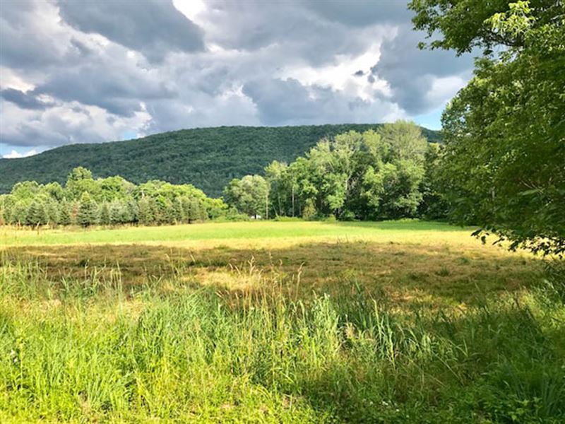 9 Acres Of Land With Creek Land for Sale in Orangeville, Columbia