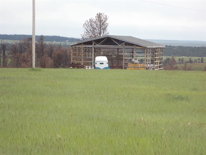 39 Acres,Shop, Close To Lake : Sundance : Crook County : Wyoming