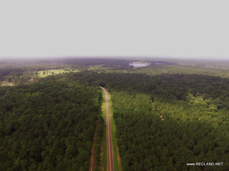 99.8 Ac - Timberland for Home Site : Joaquin : Shelby County : Texas
