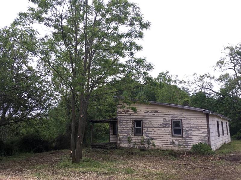 Abandoned Farm with Ponds and Woods : Halcott : Greene County : New York