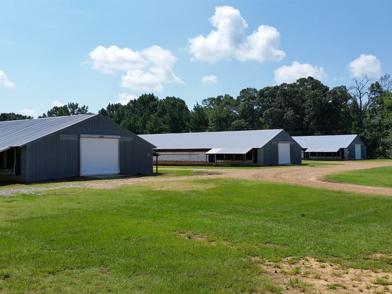 Tolleson Poultry - Three House Farm : Carthage : Leake County : Mississippi