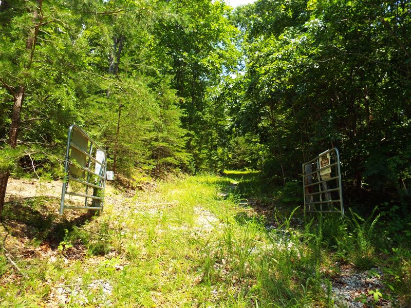 155 Acres Of Unspoiled E Tn : Kingston : Roane County : Tennessee