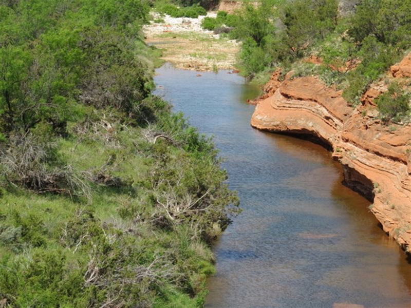 31 Acres with Creek, Views, Hunting : Robert Lee : Coke County : Texas