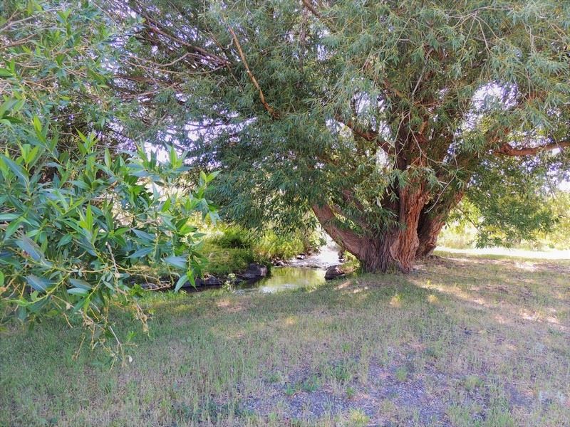 Headquarters Commercial Tract : South Fork : Rio Grande County : Colorado