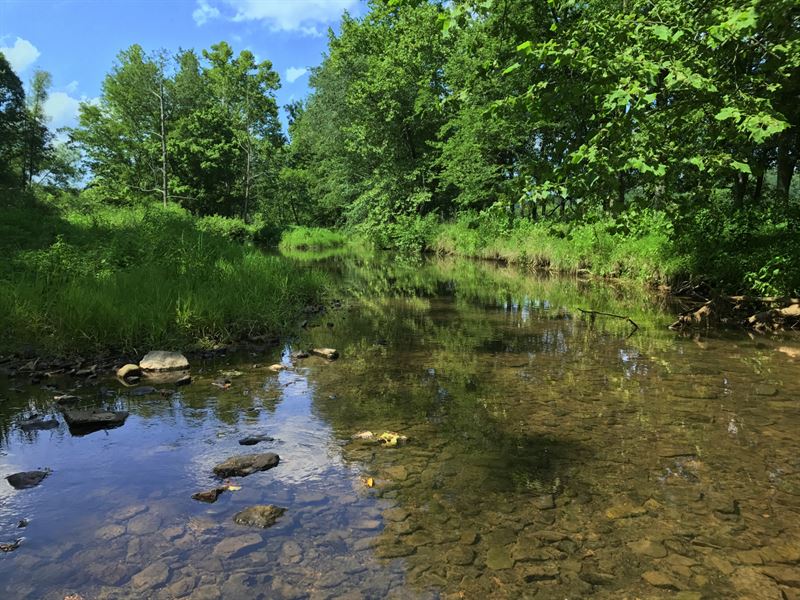 17 Acres On Brownlow Creek : Lynnville : Giles County : Tennessee
