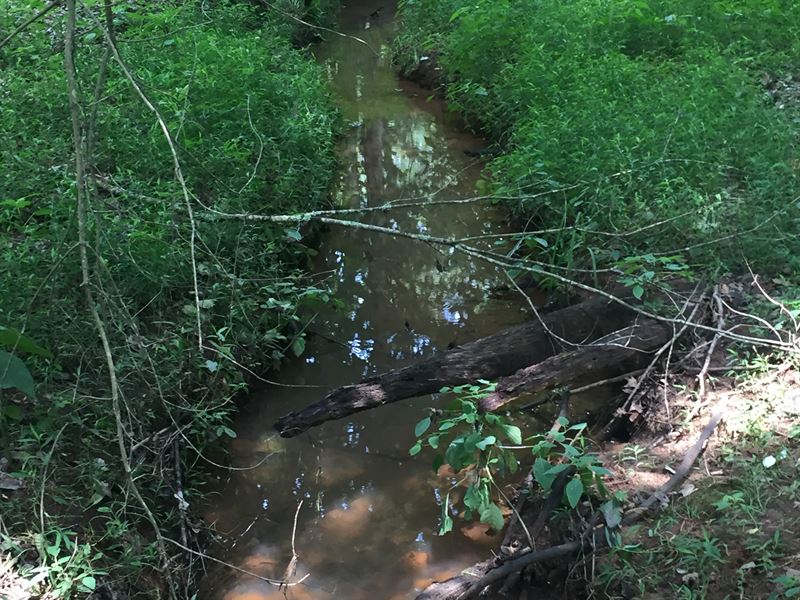 Goolsby Plantation : Monticello : Jasper County : Georgia