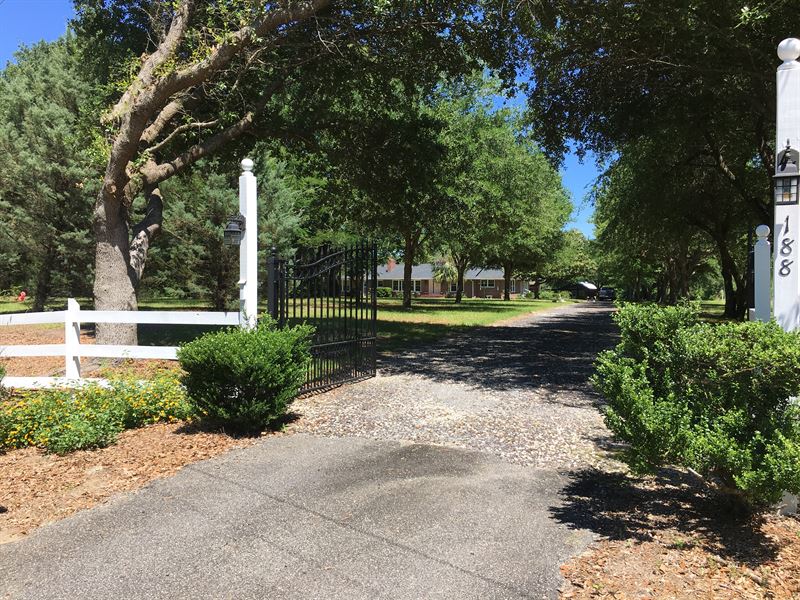 Mingowood Plantation : Nesmith : Williamsburg County : South Carolina