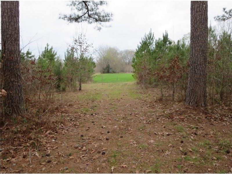 43.5 Acres in Hinds County : Raymond : Hinds County : Mississippi