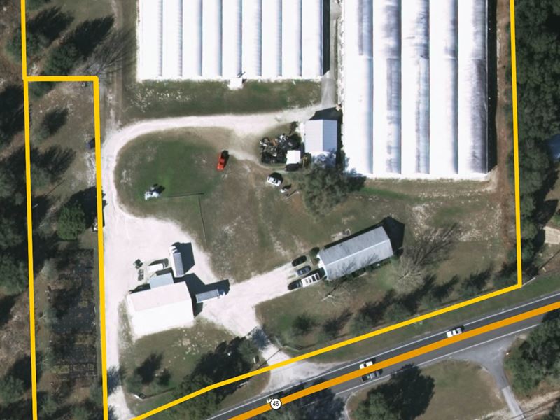 Wekiva Parkway Land, Comm Potential : Sorrento : Lake County : Florida