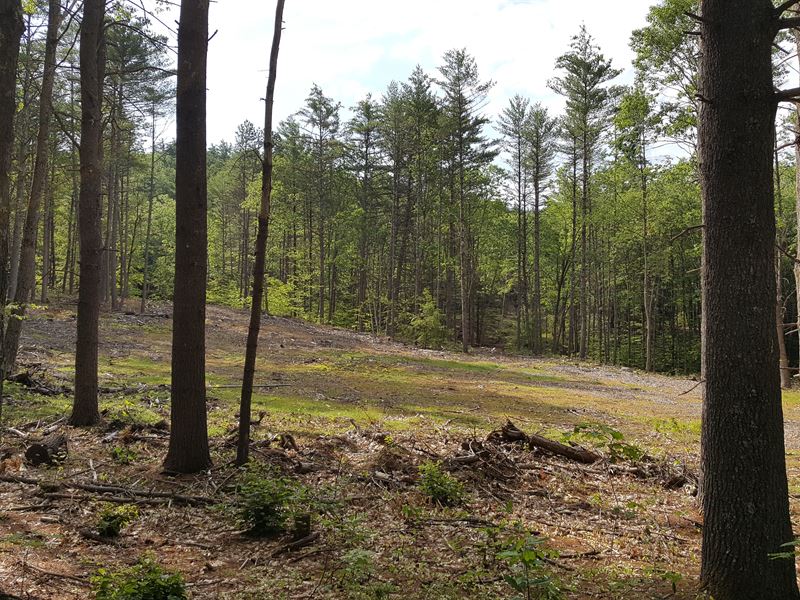 Riverview Forest : Henniker : Merrimack County : New Hampshire