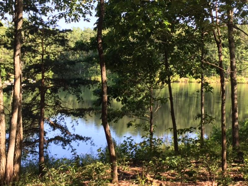 3.03+/-Acres Wooded Lake Front Prop : Dunlap : Sequatchie County : Tennessee