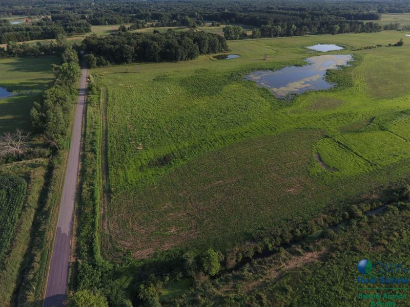 Whitetail & Waterfowl Hunting : Endeavor : Marquette County : Wisconsin