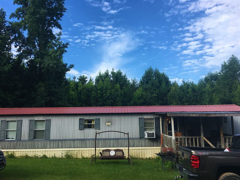 10 Acres With Mobile Home : Land for Sale in Greensboro, Greene County