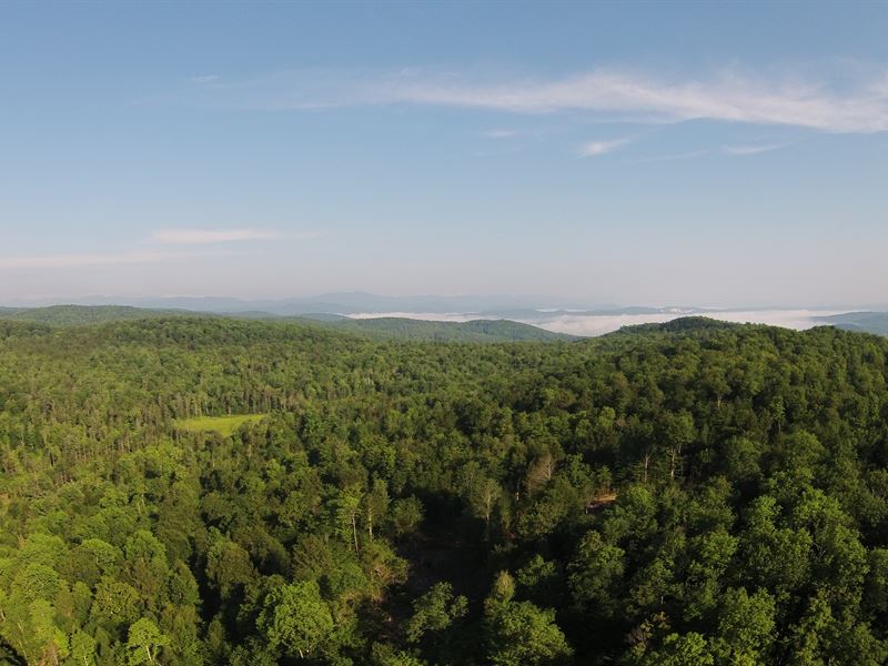 Broad Brook Forest : Royalton : Windsor County : Vermont