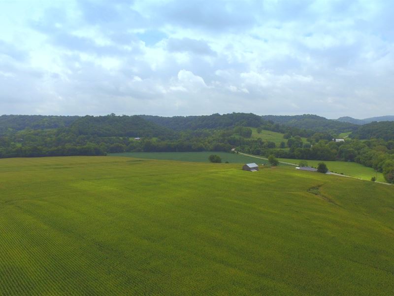 79 Acre Middle Tn Farm : Hampshire : Maury County : Tennessee