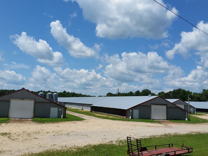 4 House Broiler Farm : Hodges : Franklin County : Alabama