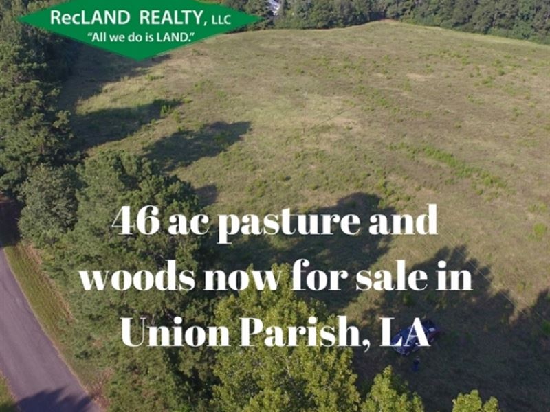 46.1 Ac - Diverse Tract for Rural : Farmerville : Union Parish : Louisiana