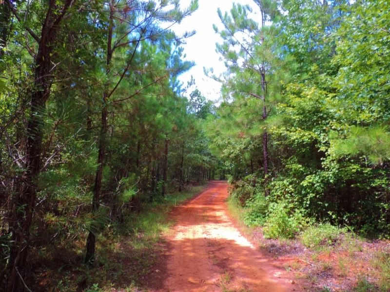 $1,000 Per Acre, Cheap Land : Sparta : Hancock County : Georgia