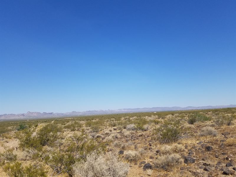 20 Plus Acres Of Desert Beauty : Golden Valley : Mohave County : Arizona